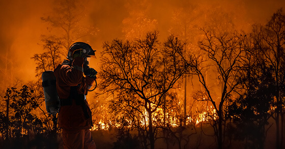 Image of a forest on fire.