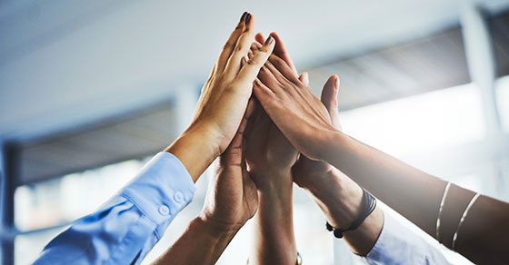Group of hands joined together.