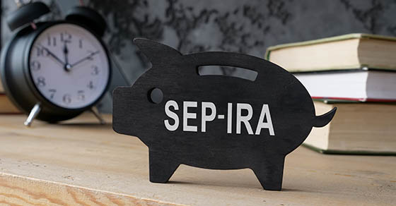Wooden piggy bank with SEP IRA inscription on the side.